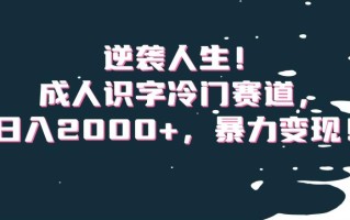 逆袭人生！成人识字冷门赛道，日入2000+，暴力变现！【揭秘】