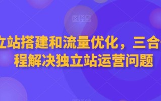 独立站搭建和流量优化，三合一课程解决独立站运营问题