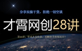 才霄网创28讲第11讲：零成本高收益，无脑抄书变现玩法！