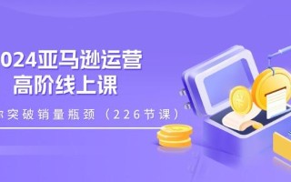 2024亚马逊运营-高阶线上课，助你突破销量瓶颈(228节课