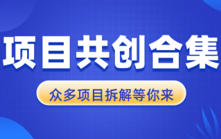 项目共创合集，从0-1全过程拆解，让你迅速找到适合自已的项目