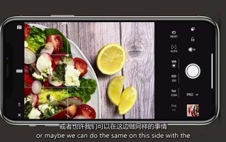 iPhone 美食摄影-掌握美食摄影造型-构图和编辑艺术-21节课-中英字幕
