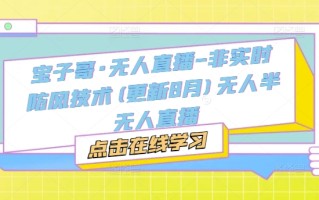 宝子哥·无人直播-非实时防风技术(更新25年9月)无人半无人直播