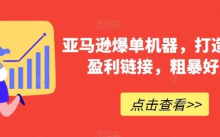 亚马逊爆单机器，打造巨额盈利链接，粗暴好用