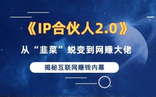 2024如何通过”知识付费“卖项目年入”百万“卖项目合伙人IP孵化训练营