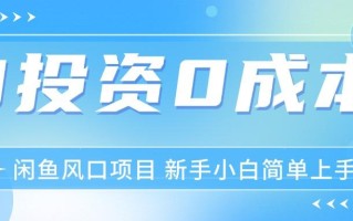 最新风口项目闲鱼空调3.0玩法，月入过万，真正的0成本0投资项目