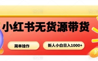 小红书无货源带货项目，简单无脑，新人小白日入多张
