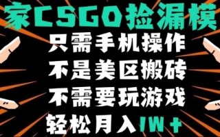 CSGO自动捡漏项目，最新独家玩法，不是美区搬砖，不需要了解和玩游戏，新手小白轻松月入1W+【揭秘】