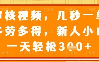 审核视频，几秒一单，多劳多得，新人小白一天轻松3张【揭秘】
