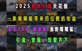 2025自热引流天花板，一条视频能带来四位数的收益，引流+变现双管齐下，日引500+创业粉，涨粉嘎嘎猛