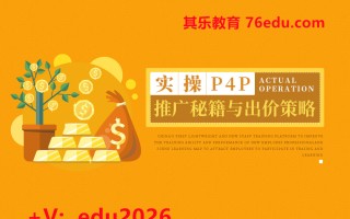 实操P4P外贸直通车推广秘籍与出价策略（3集）