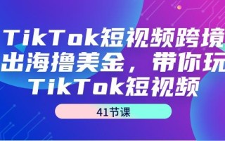 TikTok短视频跨境出海撸美金，带你玩TikTok短视频(41节课)