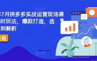 2024年7月拼多多实战运营现场课程，实时玩法，爆款打造，选品、规则解析