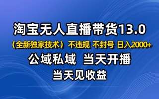 淘宝无人直播13.0，公域私域技术，不封号，不违规 布局下半年旺季赛道，日入2000+