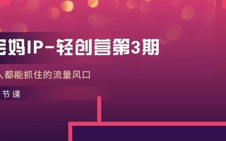 宝妈IP-轻创营第3期，人人都能抓住的流量风口(21节课