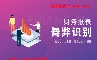 财务报表舞弊识别（5集） mp4高清无水印视频教程网盘免费下载