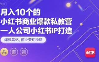 月入10个的小红书商业爆款私教营，一人公司小红书IP打造，爆款笔记，商业变现秘籍