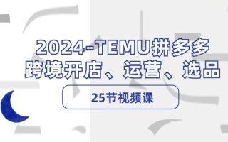 2024-TEMU拼多多·跨境开店、运营、选品(25节视频课