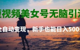 短视频美女号无脑引流，全自动变现，新手也能日入500+