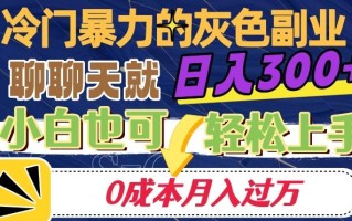 冷门暴利的副业项目，聊聊天就能日入300+，0成本月入过万【揭秘】