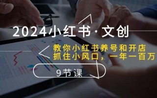 2024小红书·文创：教你小红书养号和开店、抓住小风口 一年一百万 (9节课