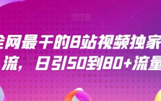 全网最干的B站视频独家引流，日引50到80+流量【揭秘】
