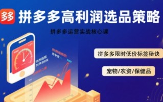 拼多多选品暴利技术实战课，拼多多高利润选品策略，拼多多限时低价标签秘诀