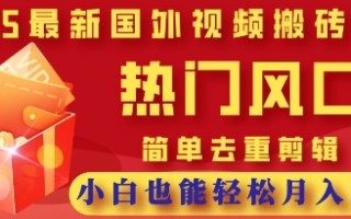 2025最新视频搬砖项目，热门风口，简单去重剪辑，小白也能轻松月入过W