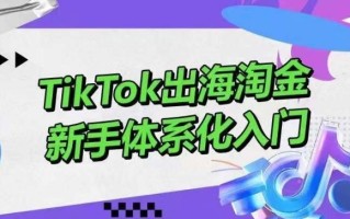 TikTok出海淘金，新手体系化入门，零基础快速入门，掌握短视频、直播带货等引流到变现的知识