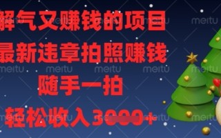 解气又挣钱的项目，最新违章拍照挣钱，随手一拍，轻松收入数张【揭秘】