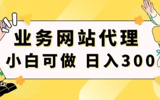 小白手机就能操作的业务网站代理项目，一单20，轻松日入300+