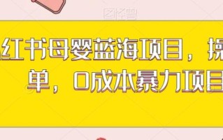 小红书母婴蓝海项目，操作简单，0成本暴力项目