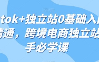 tiktok+独立站0基础入门到精通，跨境电商独立站新手必学课