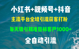 小红书，视频号，抖音主流平台全域引流获客打粉，每天吸引精准目标客户…