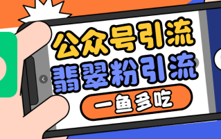公众号低成本引流翡翠粉，高客单价，大力出奇迹一鱼多吃