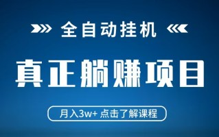 全自动挂机项目 月入3w+ 真正躺平项目 不吃电脑配置 当天见收益