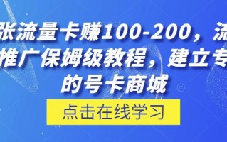 一张流量卡赚100-200，流量卡推广保姆级教程，建立专属的号卡商城
