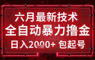 六月最新技术全自动暴力撸金，稳定日入2k+包起号，长期稳定【揭秘】