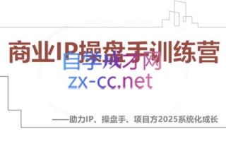【2025】IP流量操盘手线上训练营(更新4月)
