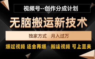 视频号无脑搬运新技术，破原创壕流量，独家方式，爆过视频，还会再爆【揭秘】