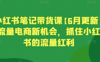 小红书笔记带货课【6月更新】流量电商新机会，抓住小红书的流量红利