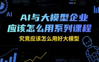 AI与大模型企业应该怎么用系列课程，究竟应该怎么用好大模型