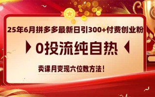 25年6月拼多多最新日引300+付费创业粉，0投流纯自热 卖课月变现六位数方法