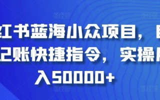 小红书蓝海小众项目，自动记账快捷指令，实操月入50000+【揭秘】