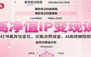 高净值IP变现课：小红书差异化定位，文案点赞成金， AI高效做短视频