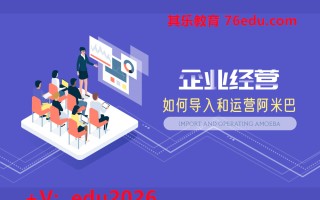企业经营如何导入和运营阿米巴（2集） mp4高清无水印视频教程网盘免费下载
