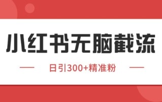 小红书截流同行客源，独家野路子获客玩法 日引200+暴力获客【揭秘】
