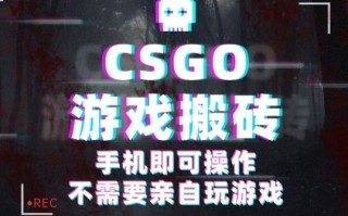 CSGO游戏挂G捡漏，单日扫货5张+，年底小高峰上车可吃肉，手机即可操作，兼职副业创业网创【揭秘】