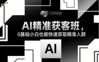 AI精准获客班，0基础小白也能快速获取精准人群