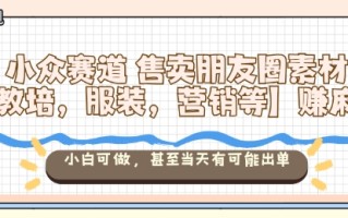 小众赛道售卖朋友圈素材【教培，服装，营销等】賺麻了，小白可做，甚至当天有可能出单